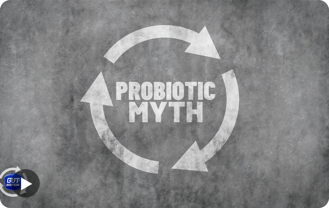 Support Program Banner