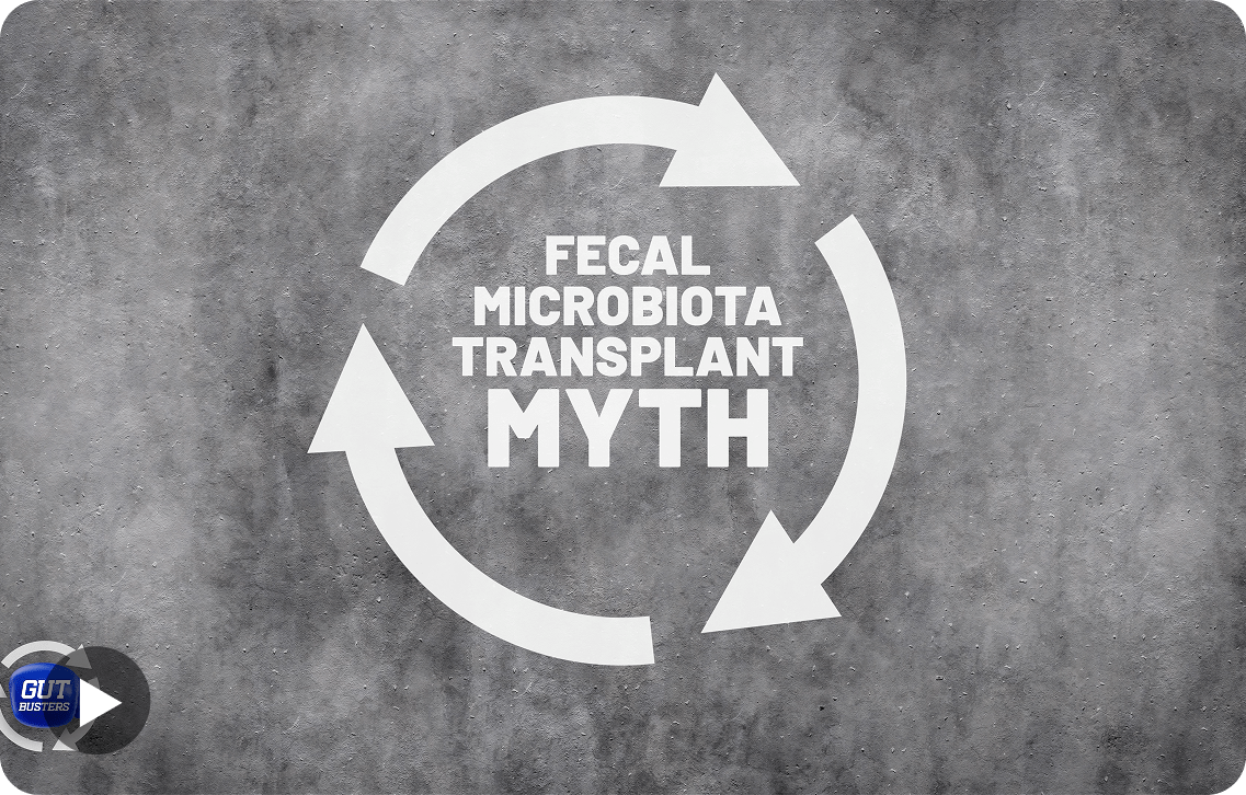 Support Program Banner