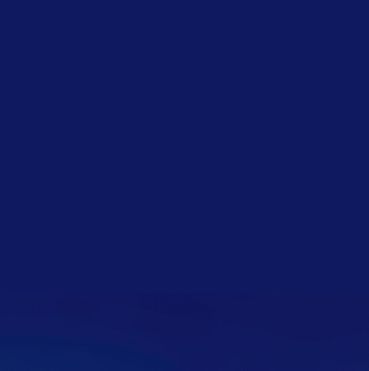Vowst Punch Banner